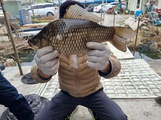 허리급 대물의 짜릿한 손맛!! 송전지 수원좌대