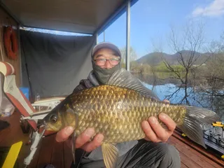 송전지 오산집 = 현재 대물 시즌 최정점