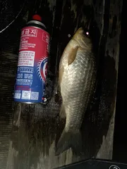 ,전좌대만석에감사드립니다