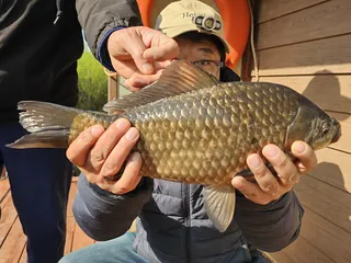 "" 해 뜨자마자 터졌다... 사짜 연타 적중!""