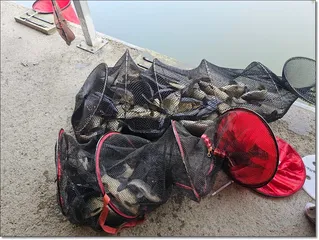 2026년 개장안내 및 조황소식