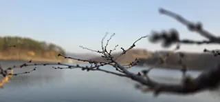 공주 고성 낚시터입니다.