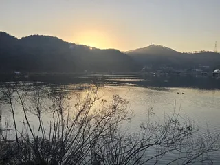 남한강 대물붕어 대량방류