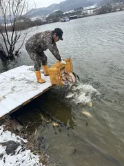 26/3/13 아산 안골지 4짜 소식입니다.