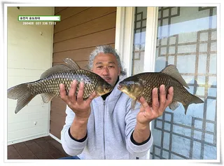 된서리에 허리급, 송전지 송도좌대 조황.