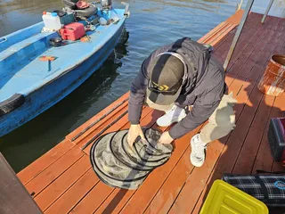 송전지 오산집  첫 사짜