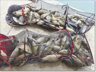 3월28일 개장연기 합니다