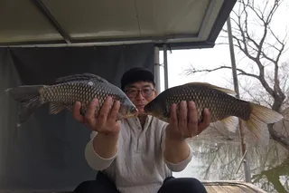 예당지  애플좌대 봄의향기와 함께