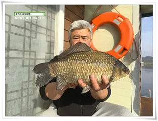 덩어리 혹은 마릿수. 송전지 송도집 좌대 조황.