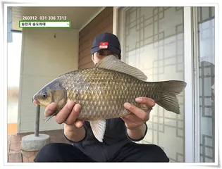 살얼음에 4짜. 송전지 송도좌대 조황.