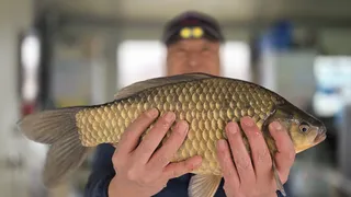 고삼저수지 첫 사짜붕어 !!!