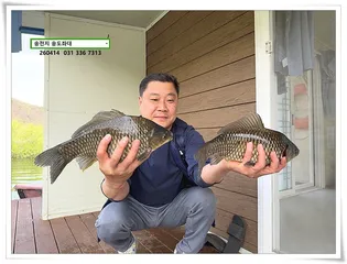 마릿수, 송전지 송도좌대 조황.