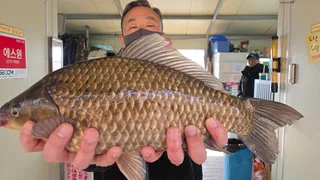 양촌좌대 사짜조황 !!