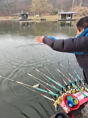 겨우내  대량방류