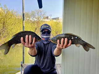 허리급 붕어와 마릿수 조황 송전지 미성좌대