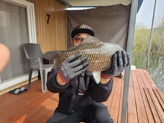 1 차 산란 폭발! 기록깨지는 현장""