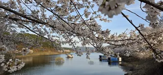 공주 고성 낚시터입니다.