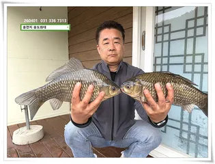 4짜 외 기타등등. 송전지 송도집 좌대 조황.