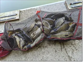 산우물낚시터 2026년 개장안내 및 조황소식