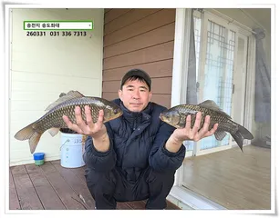 봄 비에도 상면. 송전지 송도좌대 조황.