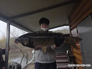 예당지  애플좌대