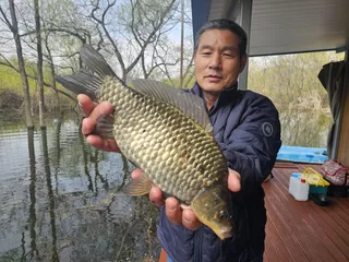 허리급 부터 사짜급까지 고르게 출현