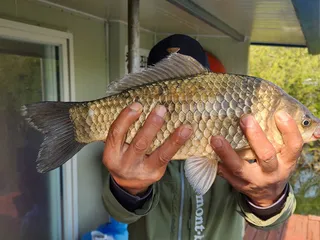 송전지 창신집 조황 정보