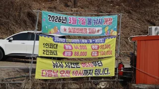 조황 입니다 . 낮에도 잘 나와주고 있습니다 