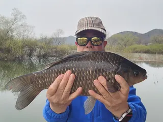 조용함 속 찌올림 ... 그 순간이 다릅니다.