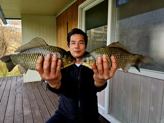 꾸준한 조황 송전지 미성좌대