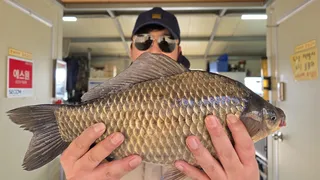 고삼 양촌좌대 3월 첫째주 사짜조황