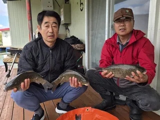 송전지 창신집 조황정보