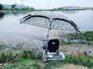 까멜리아의 여섯 번째 조행기 입니다.