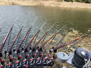 풍비의 첫 나들이...