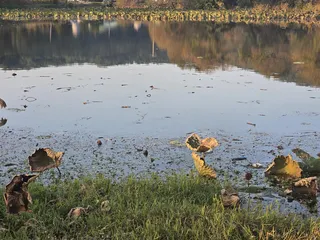 공사장에서 만난 4짜붕어