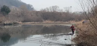 김포 고촌수로 (한강권 수로낚시)