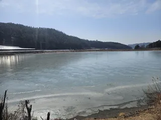  2025년 어신(魚神) 조우회의 02월 정출(춥다)