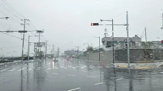 오라지 다시는 오나봐라~