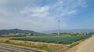 저수지 자리 잡기 참 힘들다. 