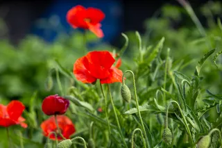 낚시로 여유찾기 !!! 숨을 쉬며... !!!