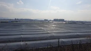 미동~없는 찌를 바라보며~