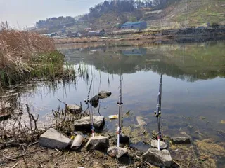 까멜리아의 네 번째 조행기 입니다.
