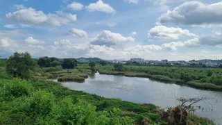 찜통 더위  속  낚시