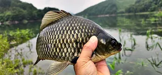 계곡지(오름수위)