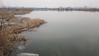 검단수로 어느새 얼음이 다 녹았네요.