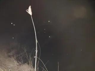 부여  소류지 댕겨 왔습니다