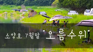 소양호 오름수위 갈길가는녀석