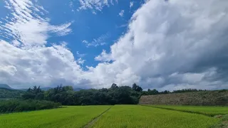 대물터만 가는 꾼 