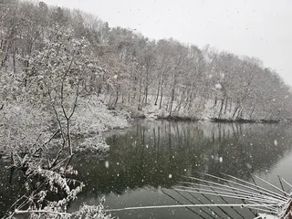 아름다운 붕어낚시