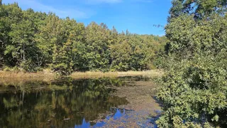 15년전 기억 (UFO)